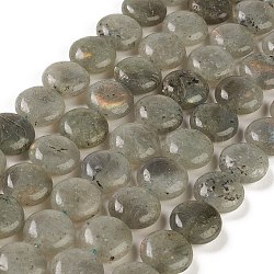 Natural Labradorite Beads Strands, Flat Round, 14.6~15.5x6~6.5mm, Hole: 0.8mm, about 27pcs/strand, 15.59''~15.87''(39.6~40.3cm)(G-M403-C09-01)