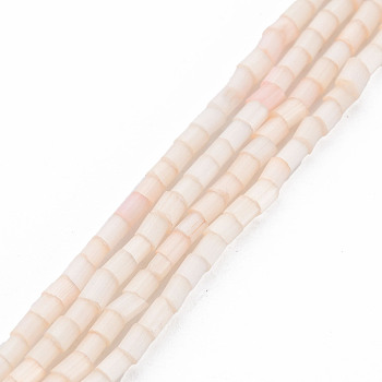 Glass Silk Stain Style Beads Strands, Tube, PeachPuff, 1.5~5x2mm, Hole: 0.8mm, about 185~187pcs/strand, 15.55 inch~15.75 inch(39.5~40cm)