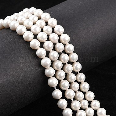 Chapelets de perles en coquille(X-BSHE-R146-6mm-02)-4