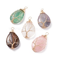 Natural Gemstone Charms, with Brass Findings, Teardrop, 46~48.5x25~26x11~12mm, Hole: 4~5.5mm(PALLOY-JF01340)