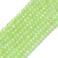 Natural Peridot Beads Strands, Faceted, Rondelle, 2~2.5x2mm, Hole: 0.5mm, about 223~226pcs/strand, 14.96~15.16 inch(38~38.5cm)(G-G106-A25-01)