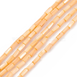 Natural Freshwater Shell Dyed Beads Strands, Column, PeachPuff, 8x4mm, Hole: 0.8mm, about 46pcs/strand, 14.96''(38cm)(SHEL-M018-11-02)