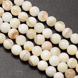 Natural Freshwater Shell Round Bead Strands, 6mm, Hole: 1mm, about 62pcs/strand, 14.5 inch(X-SHEL-M013-01)