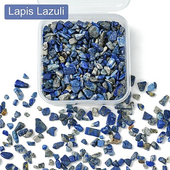 50G Natural Lapis Lazuli Chip Beads, No Hole/Undrilled, 3~9x1~4mm