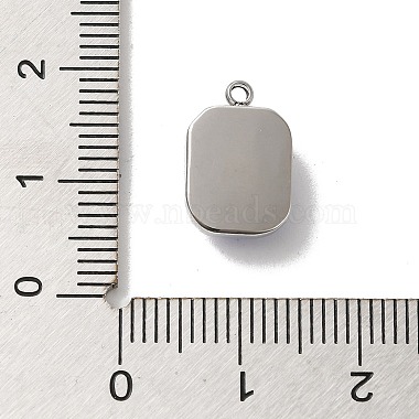 304 Stainless Steel Glass Pendants(STAS-L022-062P-03)-3