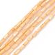 Natural Freshwater Shell Dyed Beads Strands(SHEL-M018-11-02)-1