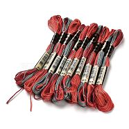 10 Skeins 6-Ply Polyester Embroidery Floss, Cross Stitch Threads, Segment Dyed, Red, 0.5mm, about 8.75 Yards(8m)/skein(OCOR-K006-A37)