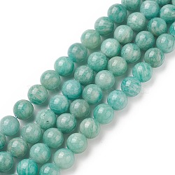 Natural Amazonite Beads Strands, Round, Grade A, 10mm, Hole: 1mm, about 37pcs/strand, 15.35 inch(39cm)(G-F461-12-10mm-01)