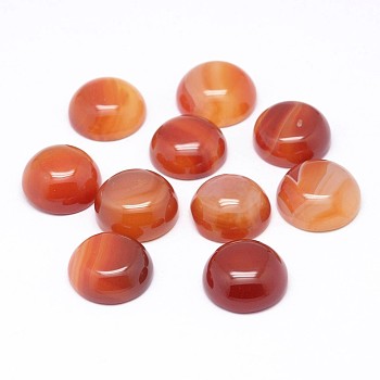 Natural Agate Cabochons, Dyed, Half Round/Dome, Coral, 15~16x5~7mm