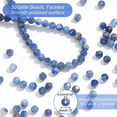 2 Strands Natural Sodalite Beads Strands(G-NB0004-62)-2