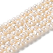 Natural Cultured Freshwater Pearl Beads Strands, Potato, Grade 2A+, PapayaWhip, 5.5~6.5x4.8~5.2mm, Hole: 0.6mm, about 68pcs/strand, 13.70~13.78 inch(34.8~35cm)(PEAR-E018-52)