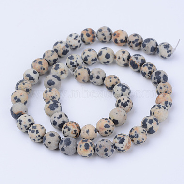 Natural Dalmatian Jasper Beads Strands(X-G-Q462-10mm-05)-2