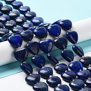 Natural Lapis Lazuli Beads Strands, with Seed Beads, Dyed, Heart, 14~15x15x6~6.5mm, Hole: 1.4mm, about 23~24pcs/strand, 14.57''(37cm)(X-G-E614-A05-01)