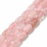 Natural Rose Quartz Beads Strands, Column, 9x6mm, Hole: 1~1.2mm, about 20~21pcs/strand, 7.09~7.48 inch(18~19cm)(G-G980-13)