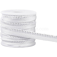Filigree Polyester Ribbon, Piping Strips for Home Textile Decoration, with Plastic Empty Spools, Silver, 3/8 inch(10mm)(OCOR-BC0002-16A)