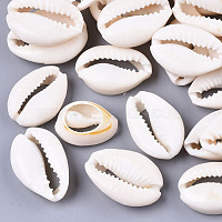 Natural Cowrie Shell Beads, No Hole/Undrilled, Creamy White, 20~28x15~20x8~9mm
