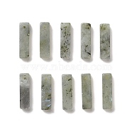 Natural Labradorite Pendants, Cuboid Charms, 24.5~25x6.5~7x6.5~7mm, Hole: 1.5mm(G-L593-01C)