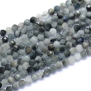Natural Hawk's Eye Beads Strands, Eagle Eye Stone, Faceted, Round, 2~2.5mm, Hole: 0.6mm, about 158pcs/strand, 15.55 inch(39.5cm)(G-I279-E14-01)