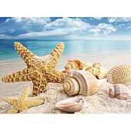 Starfish & Shell Pattern Beach Theme DIY Diamond Painting Kit, Including Resin Rhinestones Bag, Diamond Sticky Pen, Tray Plate and Glue Clay, Colorful, 300x400mm(WG37486-01)