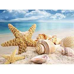 Starfish & Shell Pattern Beach Theme DIY Diamond Painting Kit, Including Resin Rhinestones Bag, Diamond Sticky Pen, Tray Plate and Glue Clay, Colorful, 300x400mm(WG37486-01)