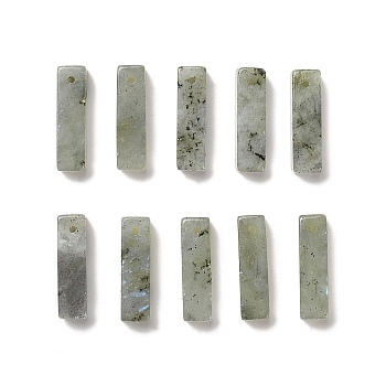 Natural Labradorite Pendants, Cuboid Charms, 24.5~25x6.5~7x6.5~7mm, Hole: 1.5mm