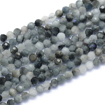 Natural Hawk's Eye Beads Strands, Eagle Eye Stone, Faceted, Round, 2~2.5mm, Hole: 0.6mm, about 158pcs/strand, 15.55 inch(39.5cm)