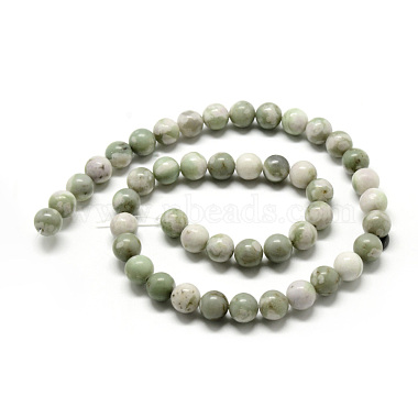 Natural Peace Jade Beads Strands(G-Q462-50-8mm)-3