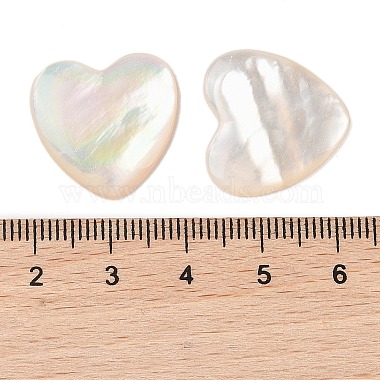 Natural White Shell Cabochons(SSHEL-C012-20)-3