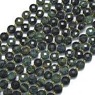 Natural Kambaba Jasper Beads Strands, with Seed Beads, Faceted, Flat Round, 6~6.5x4mm, Hole: 1mm, about 50pcs/strand, 15.35''(39cm)(G-K389-B52-01)