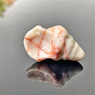 Natural Netstone Carved Healing Conch Figurines, Reiki Energy Stone Display Decorations, 32x19mm(PW-WG99255-03)