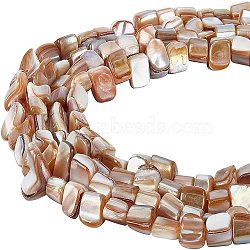 5 Strands Natural Freshwater Shell Beads Strands, Nuggets, Camel, 5~12x5~8x4~8mm, Hole: 0.7mm, about 54~57pcs/strand, 14.96~15.35 inch(38~39cm)(SHEL-CA0001-09)