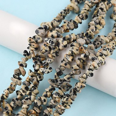 dalmatien naturelle perles de jaspe brins(G-G0003-B29)-2
