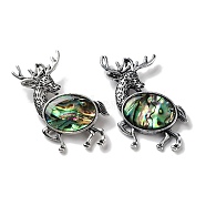 Tibetan Style Alloy Elk Brooches, with Natural Paua Shell, Antique Silver, 49.5x49x11mm(JEWB-A021-02AS-02)