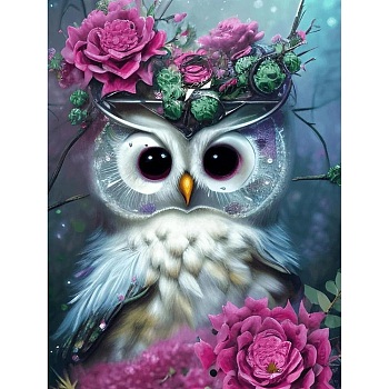 DIY Owl Diamond Painting Kit, Including Resin Rhinestones Bag, Diamond Sticky Pen, Tray Plate and Glue Clay, Colorful, 400x300mm