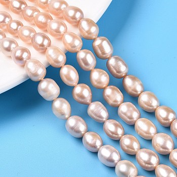 Natural Cultured Freshwater Pearl Beads Strands, Oval, Light Salmon, 7~8x7~8mm, Hole: 0.5mm, about 35~37pcs/strand, 13.98 inch(35.5cm)