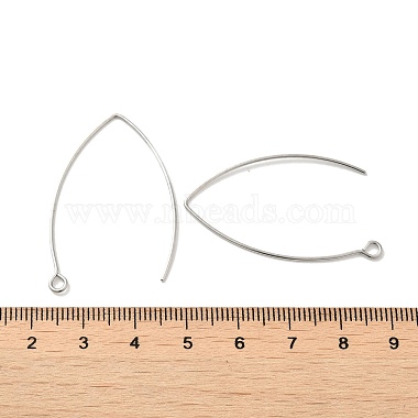 316 Surgical Stainless Steel Earring Hooks(STAS-P336-07A-P)-3