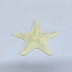 Resin Cabochons, Starfish, Lemon Chiffon, 58x63x14.5mm(RESI-WH0024-74B)