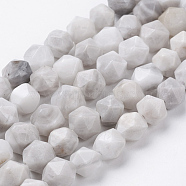 Natural White Crazy Agate Beads Strands, Faceted, Round, 10x9mm, Hole: 1.2mm, about 38pcs/strand, 15.3 inch(39cm)(G-J376-14-10mm)
