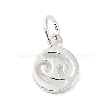 Silver Cancer Sterling Silver Charms