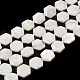Natural White Shell Beads Strands(SHEL-G022-01)-1