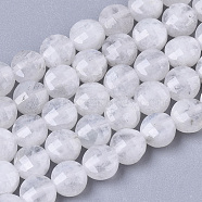 Natural Rainbow Moonstone Beads Strands, Flat Round, Faceted, 4x2.5mm, Hole: 0.7mm, about 100pcs/Strand, 15.35 inch(39cm)(G-R462-010)