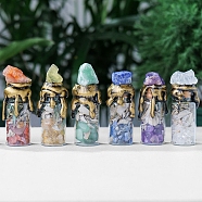 Mixed Natural Gemstone Chip Wishing Bottles, Reiki Energy Stone Display Decoration, for Healing Meditation, 70~80cm(PW-WG50330-01)