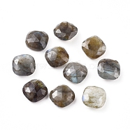 Natural Labradorite Cabochons, Faceted, Square, 11x11x4.5mm(G-G835-C01-03)