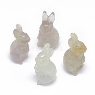 Natural Fluorite Sculpture Display Decorations, for Home Office Desk, Rabbit, 17~19x17~18.5x32~37mm(G-F719-36B)