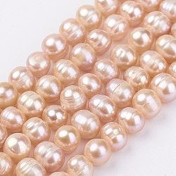 Natural Cultured Freshwater Pearl Beads Strands, Potato, PeachPuff, 7~8mm, Hole: 0.5mm, about 59pcs/strand, 1.36~1.38 inch(34.5~35cm)(PEAR-D187-36-01)