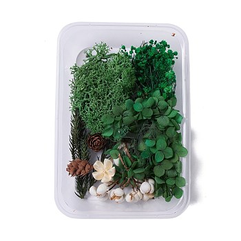 Dried Flowers, DIY Candle Soap Making Accessories, with Plastic Rectangle Box, Dark Green, Dark Green, 2.1~13x1.5~8.9cm