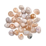 Natural Cherry Blossom Beads, Tumbled Stones, No Hole/Undrilled, Nuggets, 15~40.5x11~20x7~19mm(G-G348-01A-05)