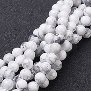 Gemstone Beads Strands, Natural Howlite Round Beads, White, about 10mm in diameter, hole: 1mm, 39pcs/strand, 15.5 inch(X-GSR10mmC015)