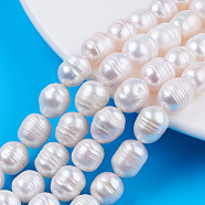 Natural Cultured Freshwater Pearl Beads Strands, Rice, Seashell Color, 10~12x9~10mm, Hole: 0.7mm, about 32~33pcs/strand, 13.39 inch(34cm)(PEAR-N012-09B)