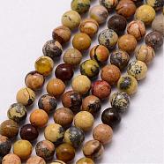 Natural Yellow Turquoise(Jasper) Beads Strands, Round, 3~3.5mm, Hole: 0.7mm, about 115~125pcs/strand, 16 inch(G-K146-02-3mm)